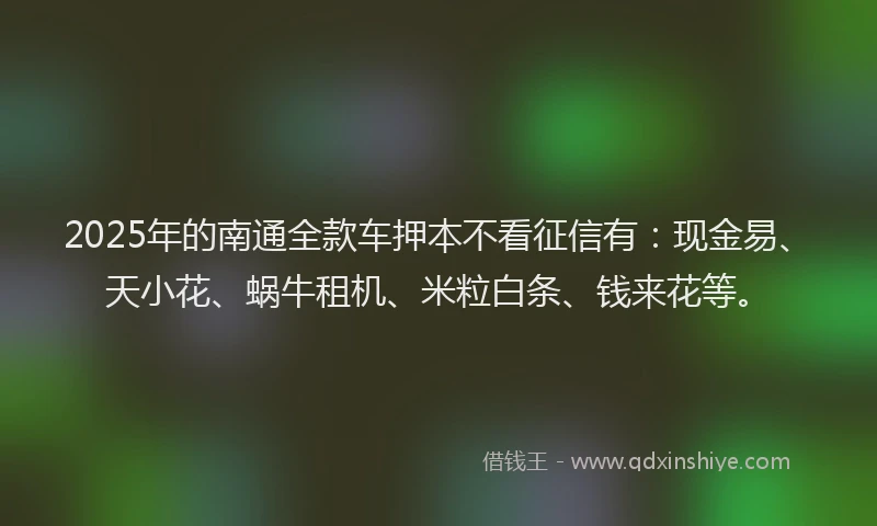 2025年的南通全款车押本不看征信有：现金易、天小花、蜗牛租机、米粒白条、钱来花等。