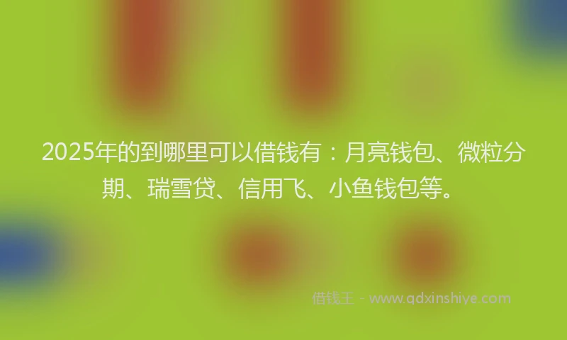 2025年的到哪里可以借钱有：月亮钱包、微粒分期、瑞雪贷、信用飞、小鱼钱包等。