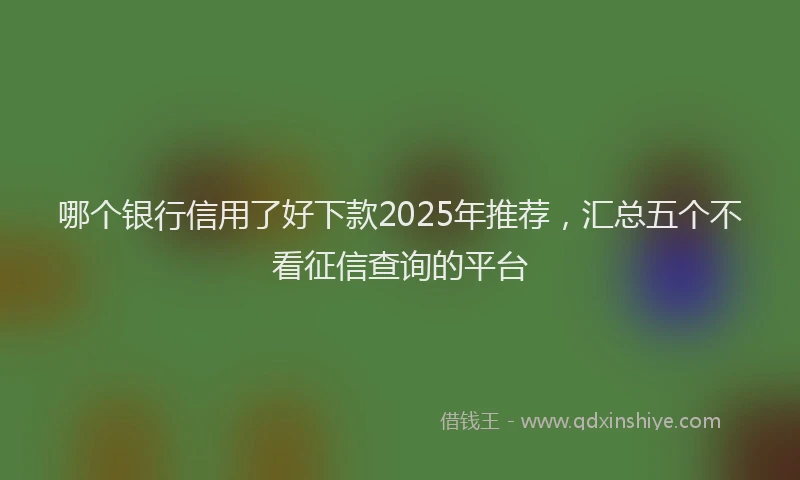 哪个银行信用了好下款2025年推荐，汇总五个不看征信查询的平台