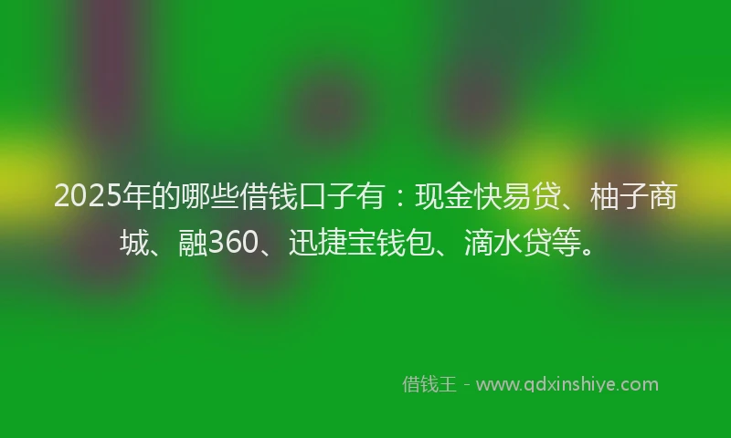 2025年的哪些借钱口子有：现金快易贷、柚子商城、融360、迅捷宝钱包、滴水贷等。