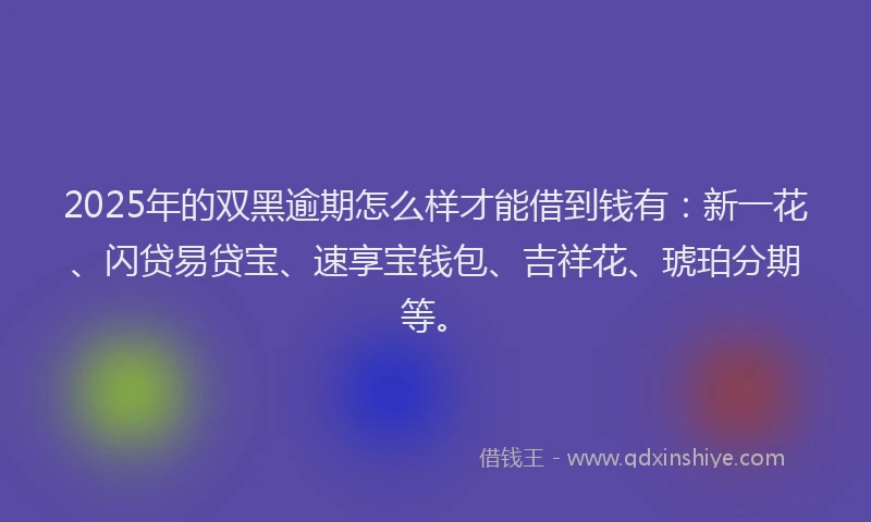 2025年的双黑逾期怎么样才能借到钱有：新一花、闪贷易贷宝、速享宝钱包、吉祥花、琥珀分期等。