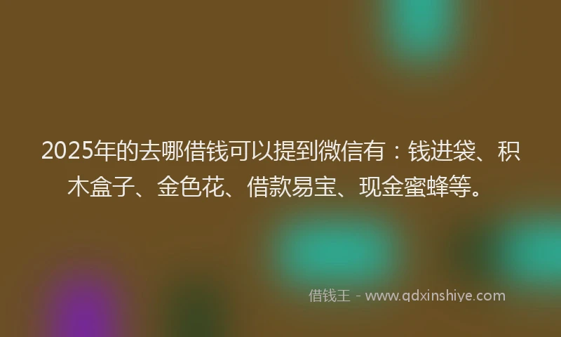 2025年的去哪借钱可以提到微信有：钱进袋、积木盒子、金色花、借款易宝、现金蜜蜂等。