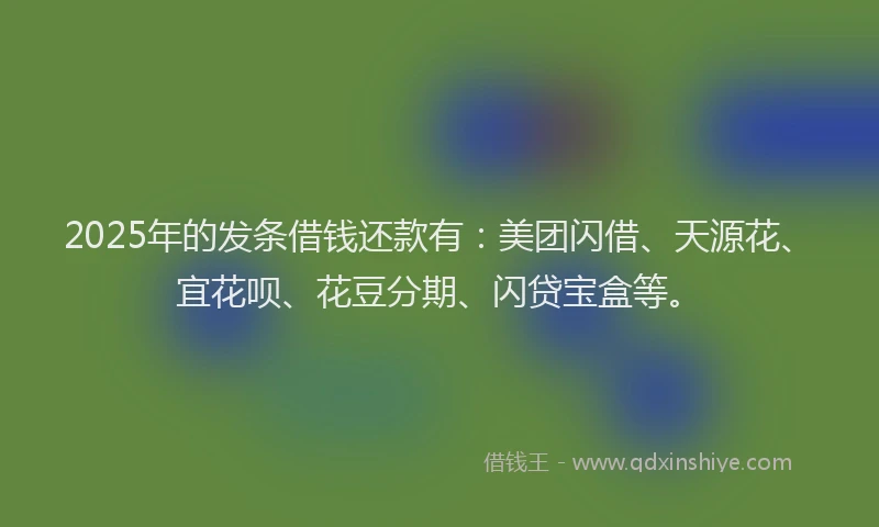 2025年的发条借钱还款有：美团闪借、天源花、宜花呗、花豆分期、闪贷宝盒等。