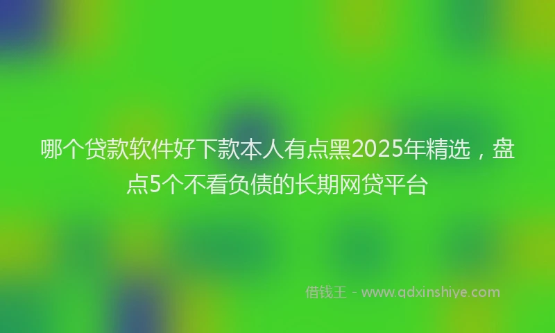 哪个贷款软件好下款本人有点黑2025年精选，盘点5个不看负债的长期网贷平台