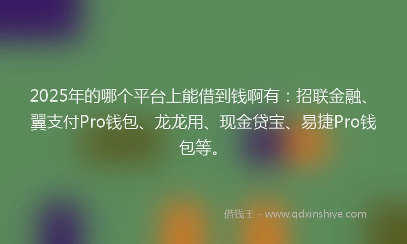 2025年的哪个平台上能借到钱啊有：招联金融、翼支付Pro钱包、龙龙用、现金贷宝、易捷Pro钱包等。