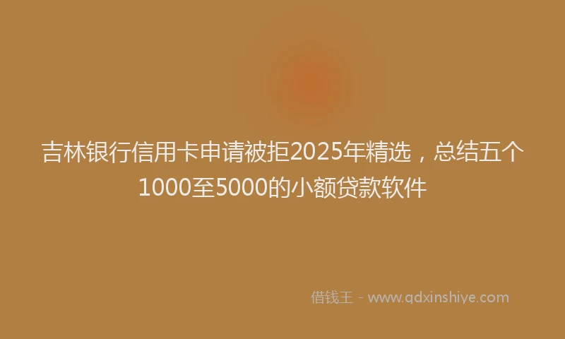 吉林银行信用卡申请被拒2025年精选，总结五个1000至5000的小额贷款软件
