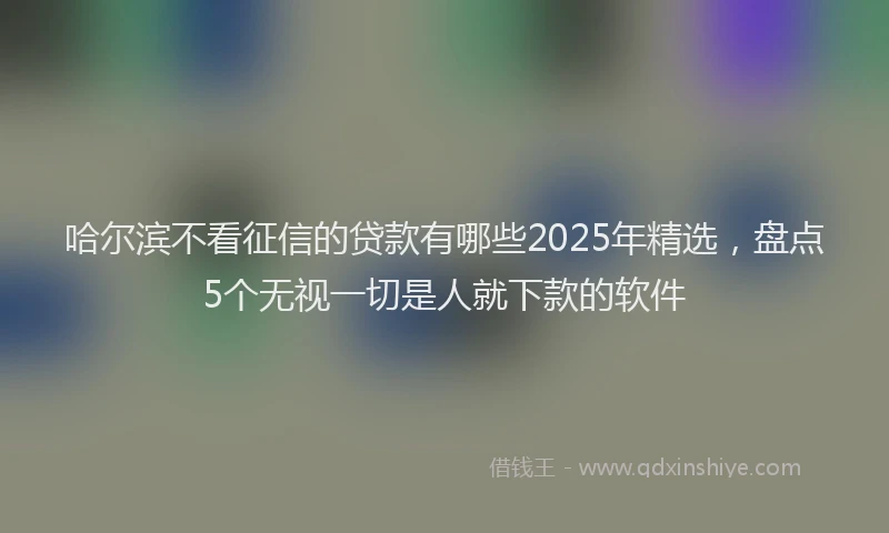 哈尔滨不看征信的贷款有哪些2025年精选，盘点5个无视一切是人就下款的软件