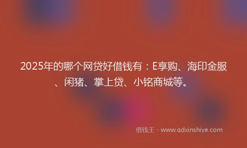 2025年的哪个网贷好借钱有：E享购、海印金服、闲猪、掌上贷、小铭商城等。