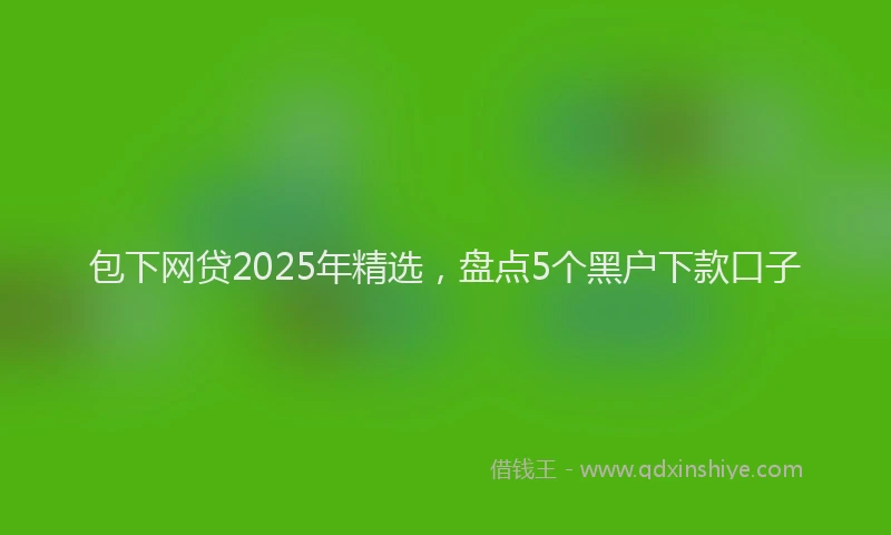包下网贷2025年精选，盘点5个黑户下款口子