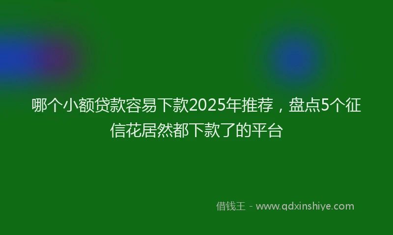 哪个小额贷款容易下款2025年推荐，盘点5个征信花居然都下款了的平台