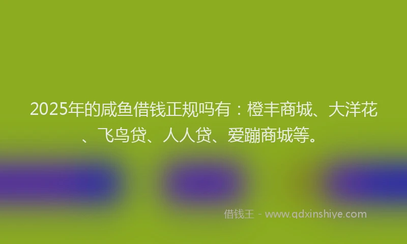 2025年的咸鱼借钱正规吗有：橙丰商城、大洋花、飞鸟贷、人人贷、爱蹦商城等。