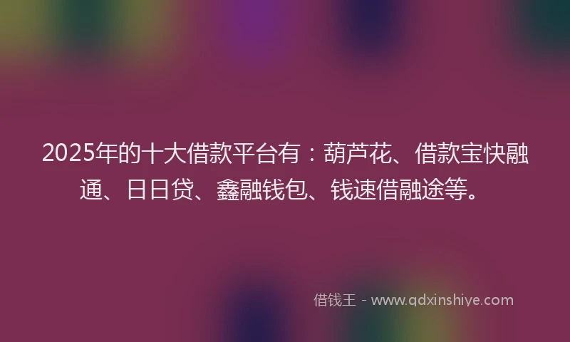 2025年的十大借款平台有：葫芦花、借款宝快融通、日日贷、鑫融钱包、钱速借融途等。