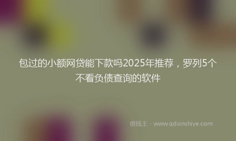 包过的小额网贷能下款吗2025年推荐，罗列5个不看负债查询的软件