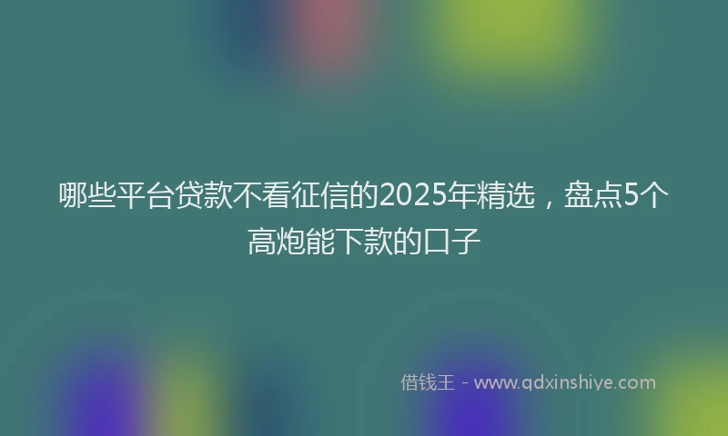 哪些平台贷款不看征信的2025年精选，盘点5个高炮能下款的口子