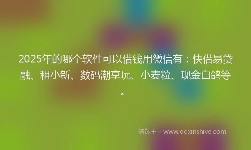 2025年的哪个软件可以借钱用微信有：快借易贷融、租小新、数码潮享玩、小麦粒、现金白鸽等。