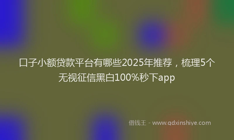 口子小额贷款平台有哪些2025年推荐，梳理5个无视征信黑白100%秒下app