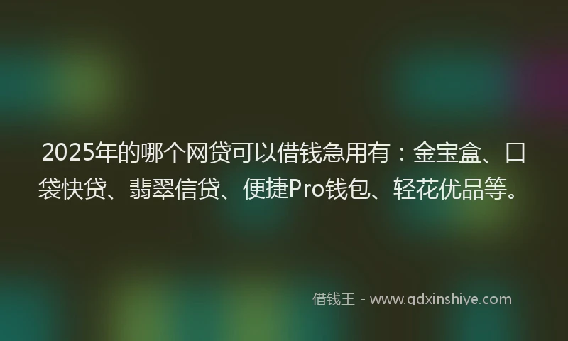 2025年的哪个网贷可以借钱急用有：金宝盒、口袋快贷、翡翠信贷、便捷Pro钱包、轻花优品等。