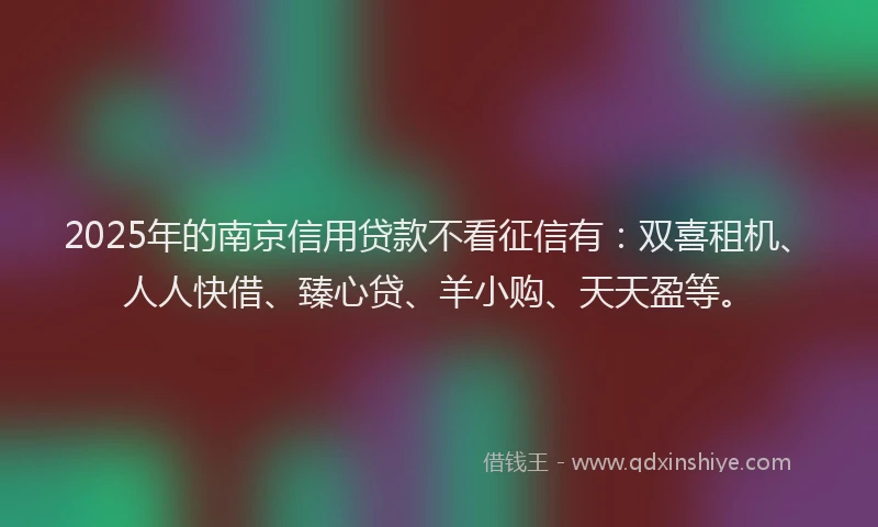 2025年的南京信用贷款不看征信有：双喜租机、人人快借、臻心贷、羊小购、天天盈等。