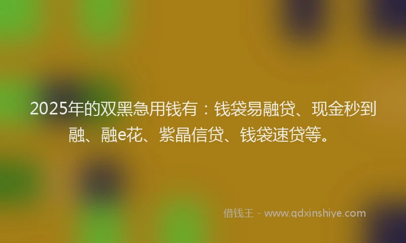 2025年的双黑急用钱有：钱袋易融贷、现金秒到融、融e花、紫晶信贷、钱袋速贷等。