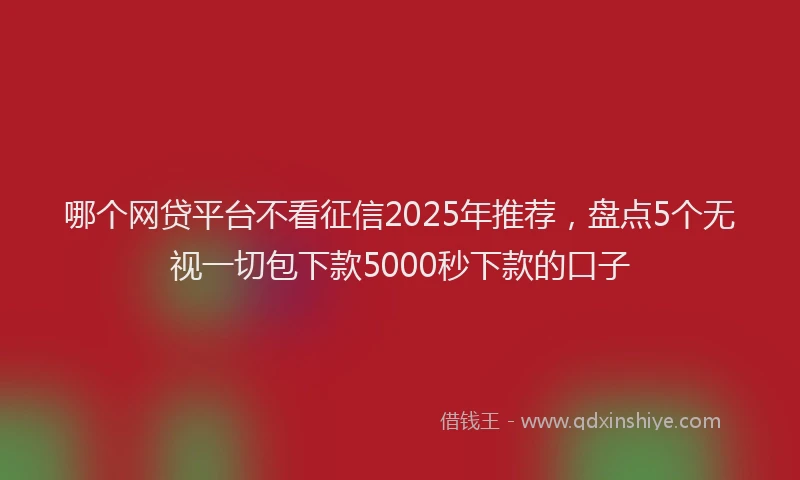 哪个网贷平台不看征信2025年推荐，盘点5个无视一切包下款5000秒下款的口子