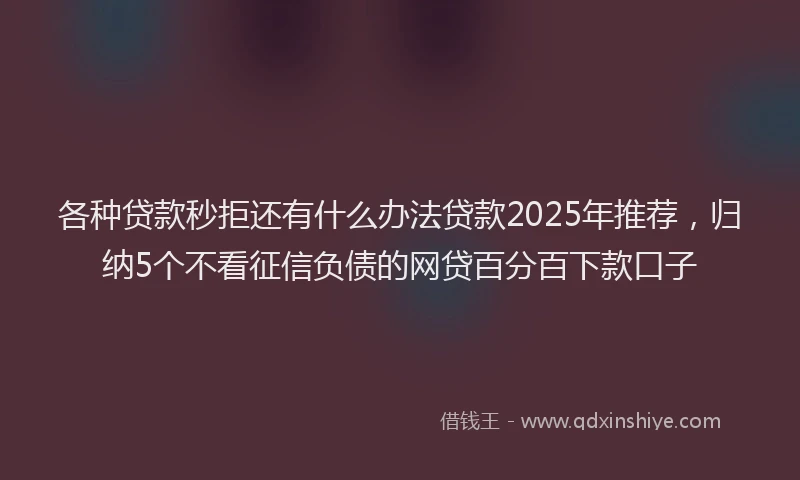 各种贷款秒拒还有什么办法贷款2025年推荐，归纳5个不看征信负债的网贷百分百下款口子
