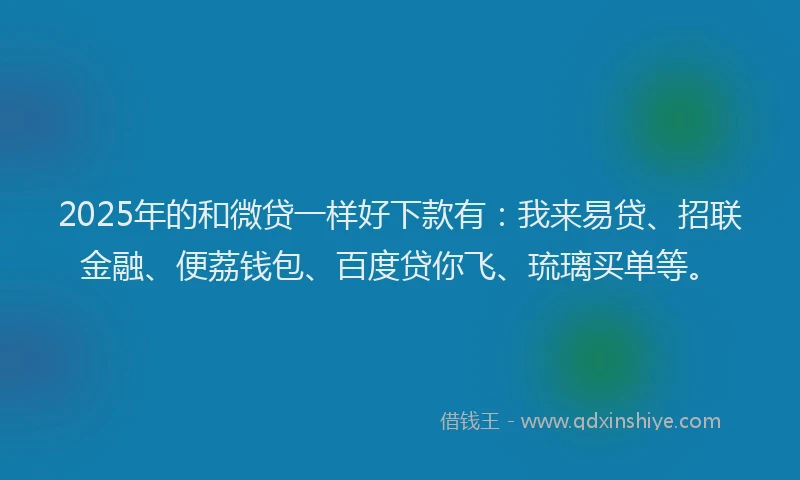 2025年的和微贷一样好下款有：我来易贷、招联金融、便荔钱包、百度贷你飞、琉璃买单等。