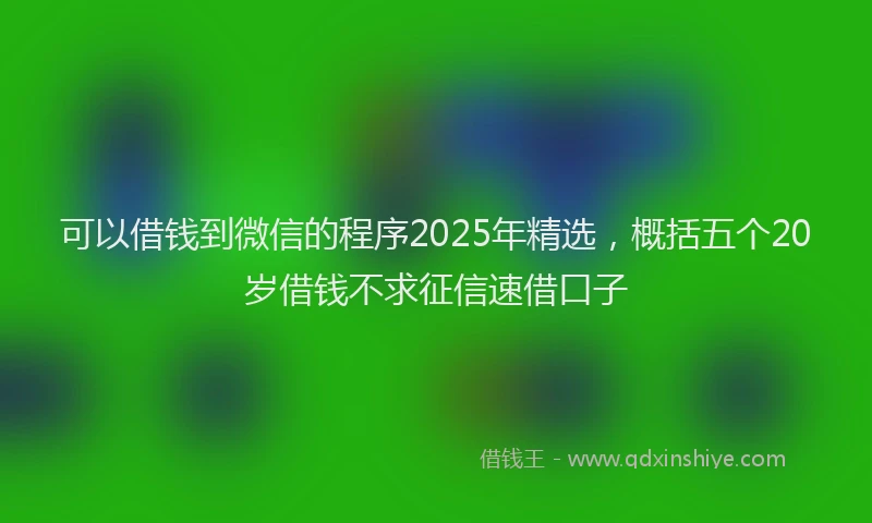 可以借钱到微信的程序2025年精选，概括五个20岁借钱不求征信速借口子