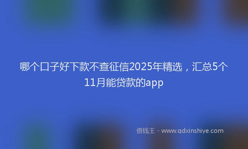 哪个口子好下款不查征信2025年精选，汇总5个11月能贷款的app