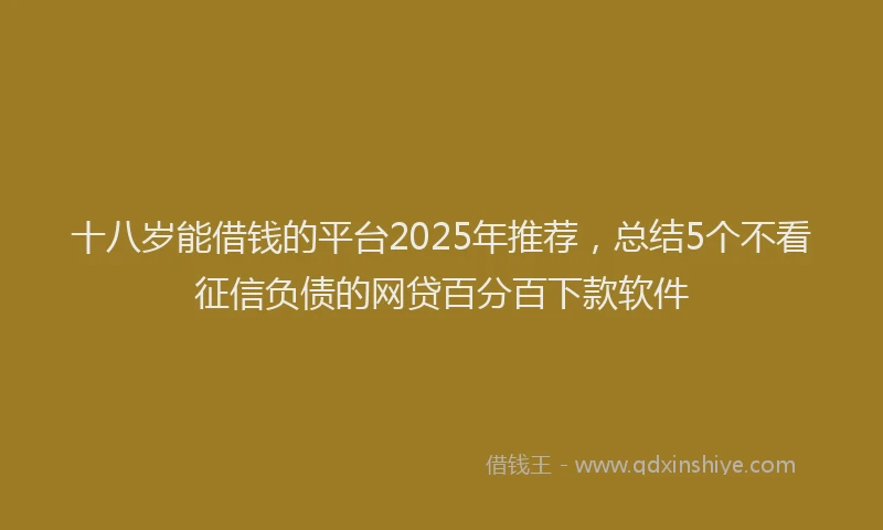 十八岁能借钱的平台2025年推荐，总结5个不看征信负债的网贷百分百下款软件