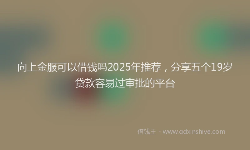 向上金服可以借钱吗2025年推荐，分享五个19岁贷款容易过审批的平台