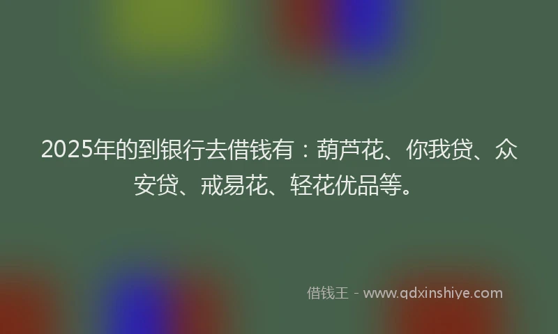 2025年的到银行去借钱有：葫芦花、你我贷、众安贷、戒易花、轻花优品等。