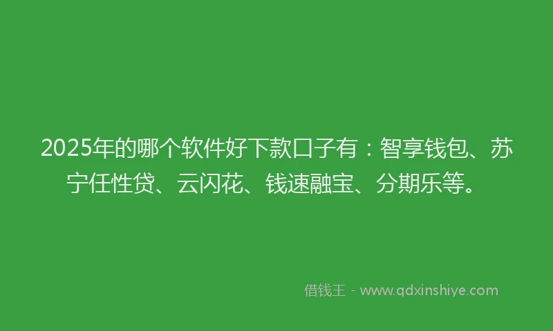 2025年的哪个软件好下款口子有：智享钱包、苏宁任性贷、云闪花、钱速融宝、分期乐等。