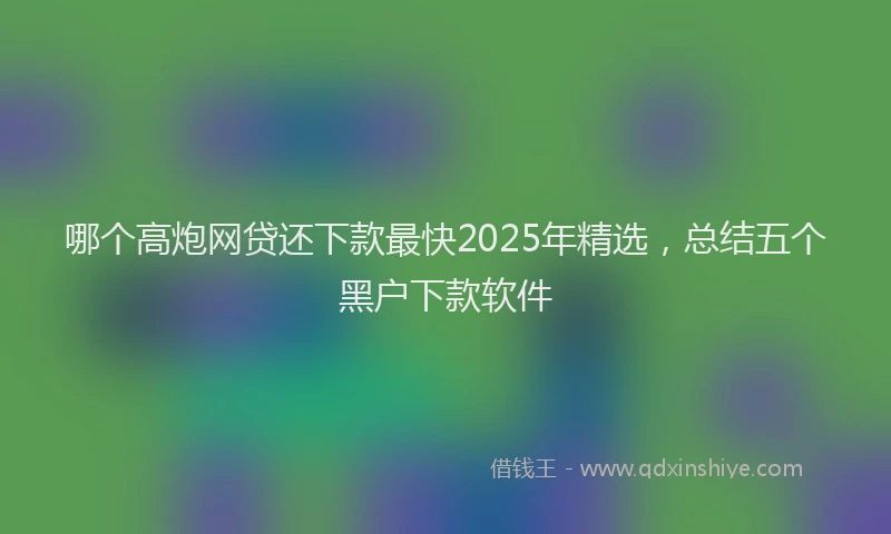 哪个高炮网贷还下款最快2025年精选，总结五个黑户下款软件