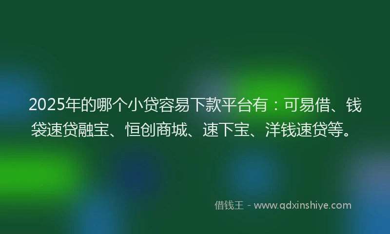 2025年的哪个小贷容易下款平台有：可易借、钱袋速贷融宝、恒创商城、速下宝、洋钱速贷等。