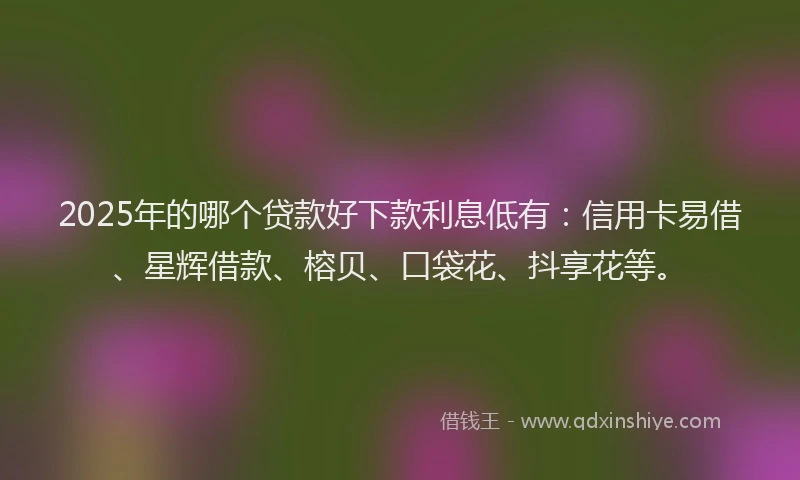 2025年的哪个贷款好下款利息低有：信用卡易借、星辉借款、榕贝、口袋花、抖享花等。