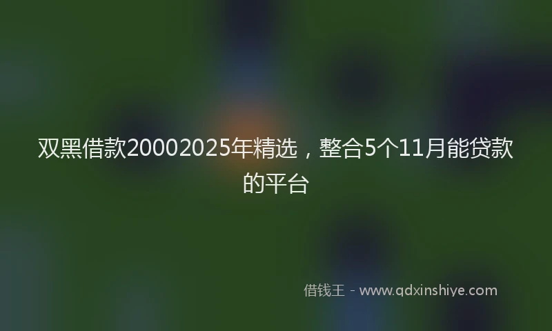 双黑借款20002025年精选，整合5个11月能贷款的平台