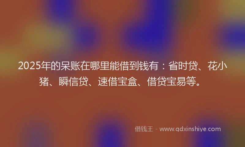 2025年的呆账在哪里能借到钱有：省时贷、花小猪、瞬信贷、速借宝盒、借贷宝易等。