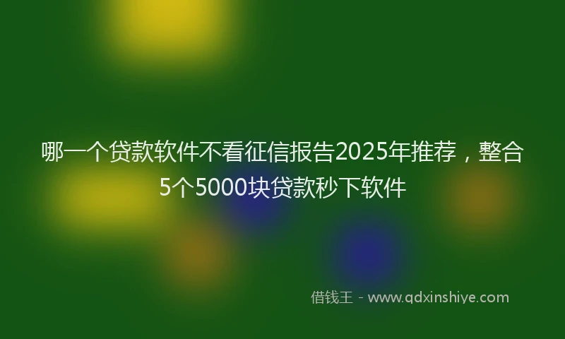 哪一个贷款软件不看征信报告2025年推荐，整合5个5000块贷款秒下软件