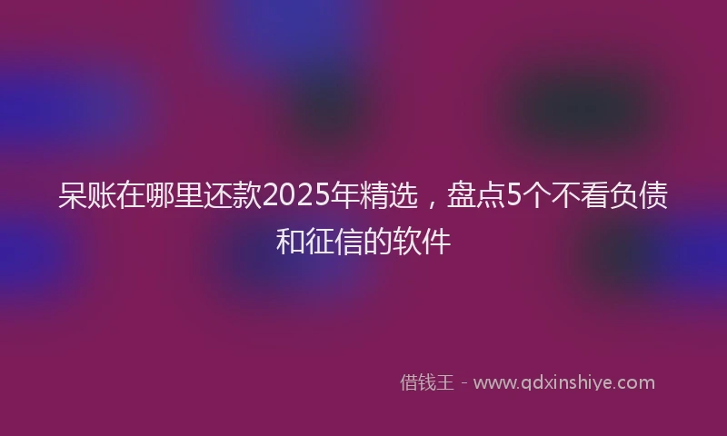 呆账在哪里还款2025年精选，盘点5个不看负债和征信的软件