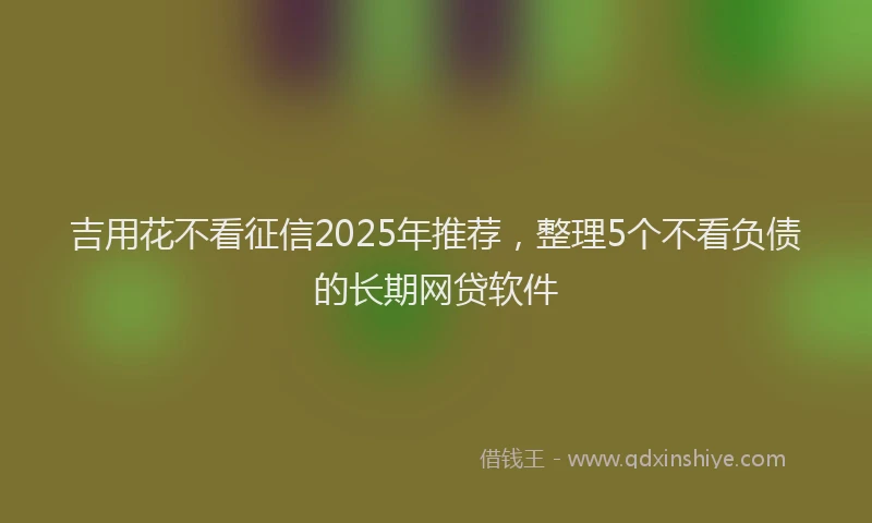 吉用花不看征信2025年推荐，整理5个不看负债的长期网贷软件