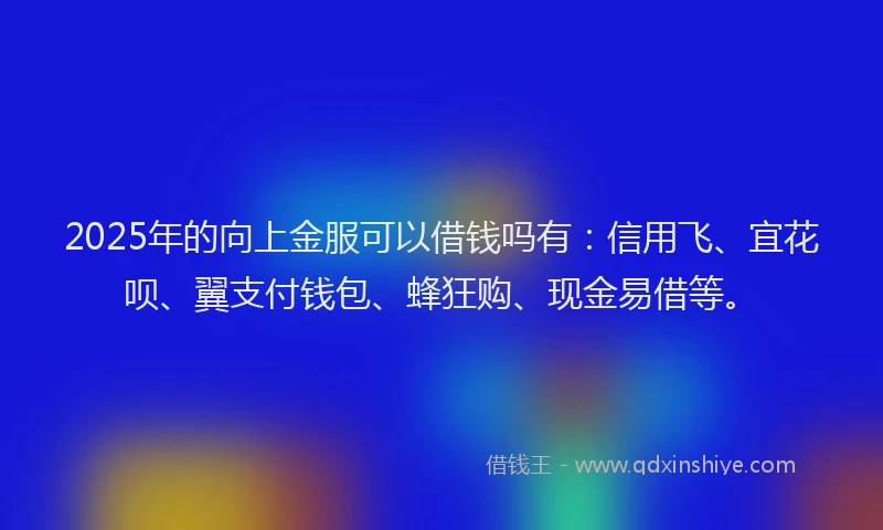2025年的向上金服可以借钱吗有：信用飞、宜花呗、翼支付钱包、蜂狂购、现金易借等。