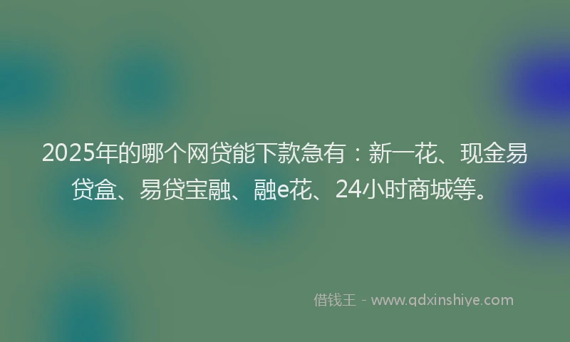 2025年的哪个网贷能下款急有：新一花、现金易贷盒、易贷宝融、融e花、24小时商城等。