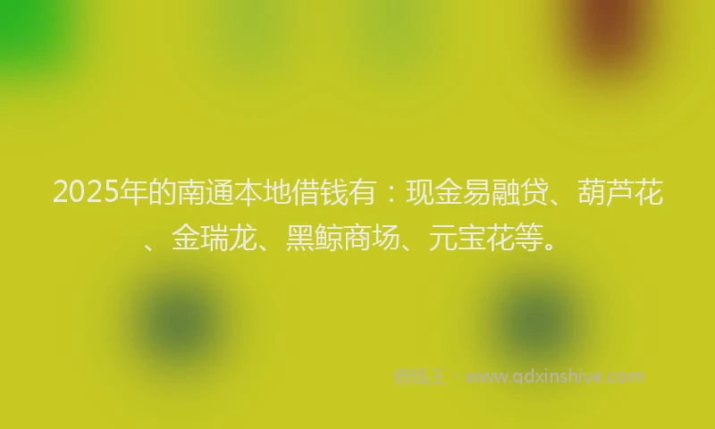 2025年的南通本地借钱有：现金易融贷、葫芦花、金瑞龙、黑鲸商场、元宝花等。