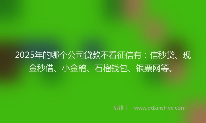 2025年的哪个公司贷款不看征信有：信秒贷、现金秒借、小金鸽、石榴钱包、银票网等。