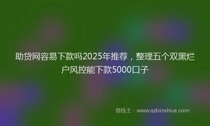 助贷网容易下款吗2025年推荐，整理五个双黑烂户风控能下款5000口子