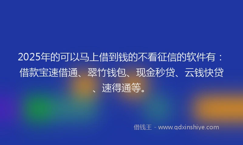 2025年的可以马上借到钱的不看征信的软件有：借款宝速借通、翠竹钱包、现金秒贷、云钱快贷、速得通等。