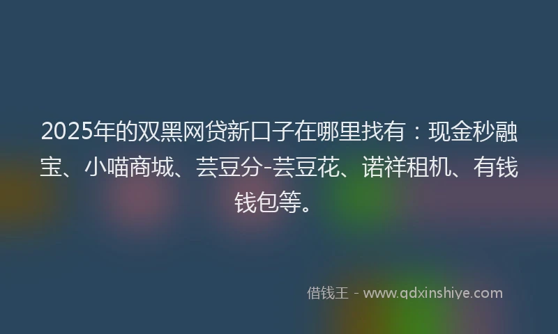 2025年的双黑网贷新口子在哪里找有：现金秒融宝、小喵商城、芸豆分-芸豆花、诺祥租机、有钱钱包等。