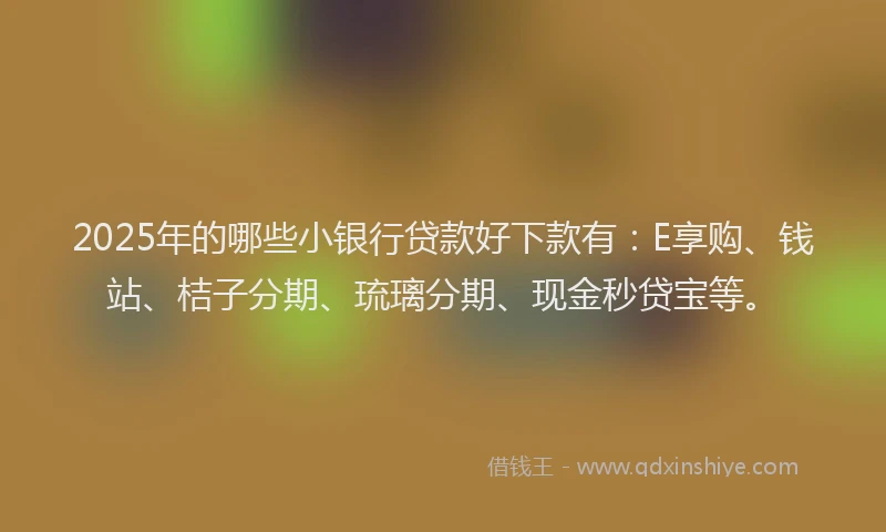 2025年的哪些小银行贷款好下款有：E享购、钱站、桔子分期、琉璃分期、现金秒贷宝等。
