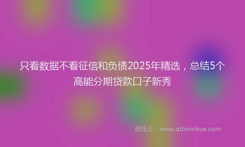 只看数据不看征信和负债2025年精选，总结5个高能分期贷款口子新秀