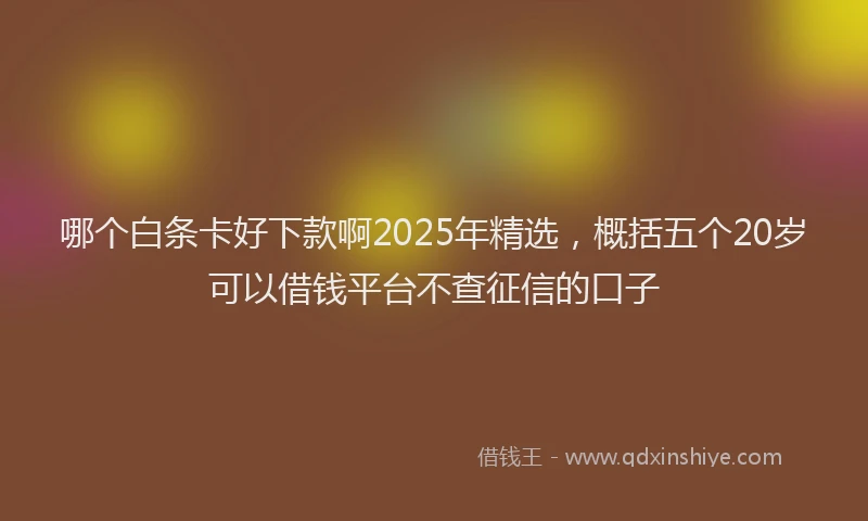 哪个白条卡好下款啊2025年精选，概括五个20岁可以借钱平台不查征信的口子